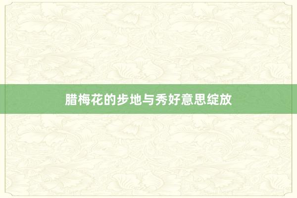 腊梅花的步地与秀好意思绽放